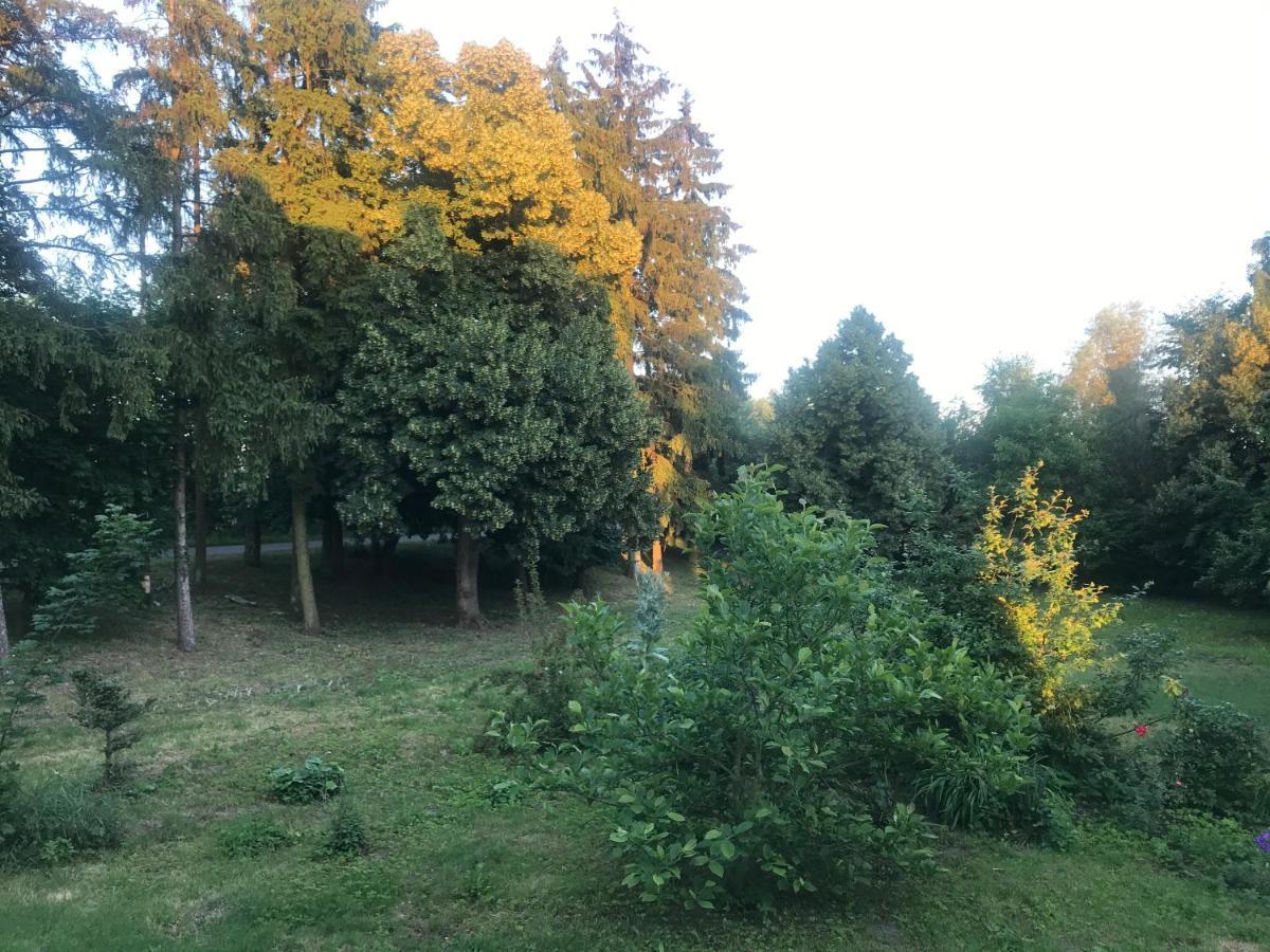 Zabytkowy Drewniany Dom Z 1887 Roku Nowy Dwór Gdański Bagian luar foto